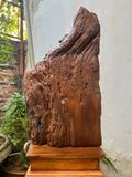  Cụ thần trà gỗ bách xanh Tượng đục tay tỉ mỉ,thần thái đẹp Kích thước chưa gồm kỷ:cao55x30x12 