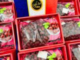 TÁO ĐỎ GIFT SET SẤY KHÔ HÀN QUỐC HỘP QUÀ 
