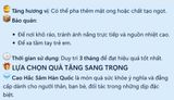  CAO HẮC SÂM HÀN QUỐC - TINH HOA SỨC KHỎE TỪ THIÊN NHIÊN BK-HE002700VN-3966 