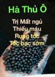  VIÊN UỐNG HÀ THỦ Ô ROOTONIX HÀN QUỐC 