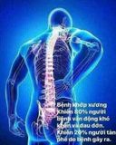  Sản phẩm bổ khớp hàng đầu Hàn Quốc – JOINT KING 