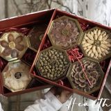  Hộp Quà Tặng Bổ Dưỡng Cao Cấp BK-HE008500VN-3931 