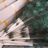  Quạt lông công siêu dày 8 lớp BKFACN-9263 