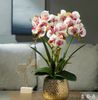 BÌNH HOA LAN TRANG TRÍ CAO CẤP Chất liệu bình hoa: gốm sứ mạ vàng