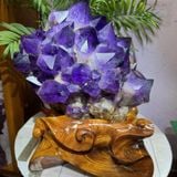 HỔ  ĐỒNG  BKMEVN-9057 