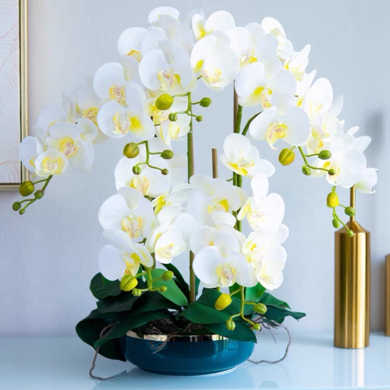  CHẬU HOA LAN TRANG TRÍ SANG TRỌNG Chất liệu sản phẩm: In 3D hoa nhân tạo và chậu hoa gốm sứ 
