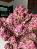  "Thuận Buồm Xuôi Gió" Ruby Lục Yên Tinh Thể 