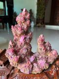  "Thuận Buồm Xuôi Gió" Ruby Lục Yên Tinh Thể 