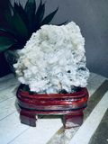  Hoa Ưu Đàm (Hoa Đá) 