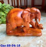  Voi Gỗ Hương Ta Liên Khối 