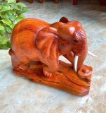  Voi Gỗ Hương Ta Liên Khối 