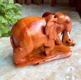  Voi Gỗ Hương Ta Liên Khối 