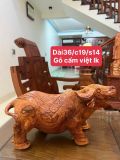  Trâu Gỗ Cẩm Việt Liền Khối 