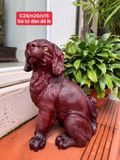  Cún Tài Lộc Gỗ Tử Đàn Đỏ 