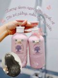  Dầu Gội Biotin Collagen Hồng 