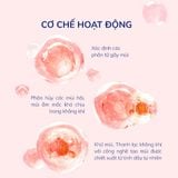  Xịt thơm phòng Lovenose, nước hoa xịt phòng hương thơm tự nhiên dễ chịu lưu hương lâu dài 320ml 