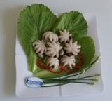  Whole Octopus 