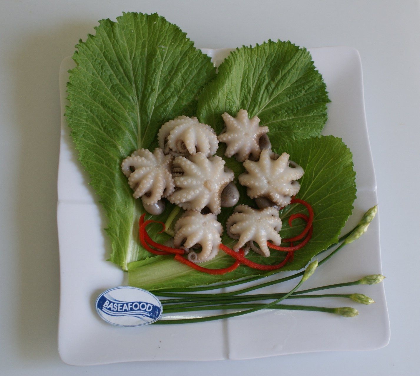  Whole Octopus 