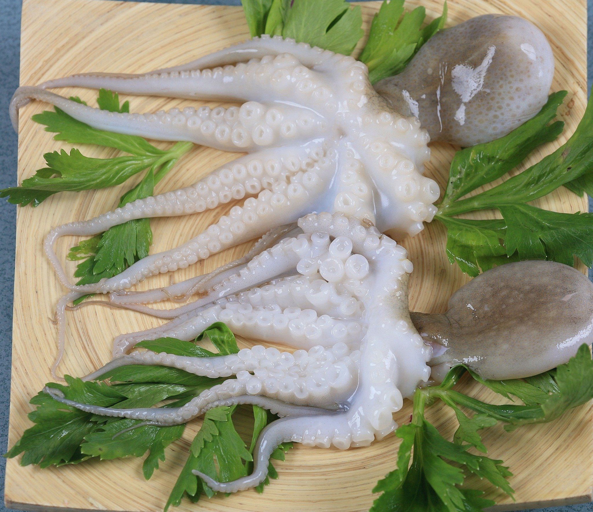  Whole Octopus 