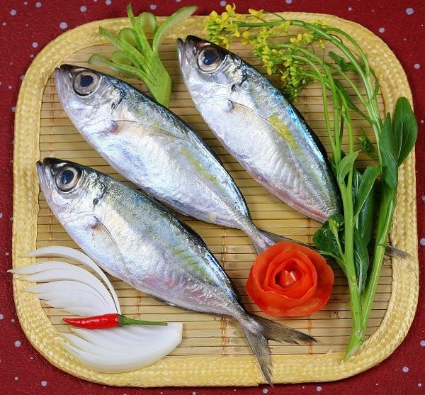  Whole Round Big eye Scad (Selar crumenophthalmus) 