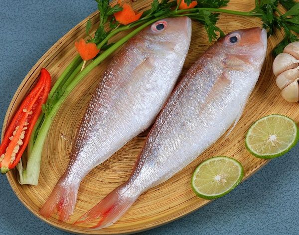  Whole Round Threadfin Bream (Nemipterus virgatus) 
