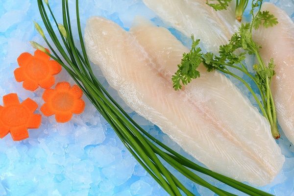 Fish of all kinds 