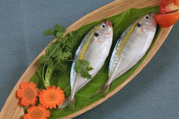  Cá chỉ vàng nguyên con 