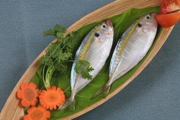  Whole yellow stripe trevally (Selaroides leptolepis) 