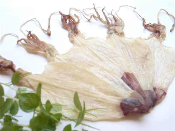  Dried Skinless Squid (Loligo edulis) 