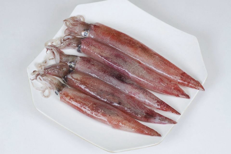 Mực ống 