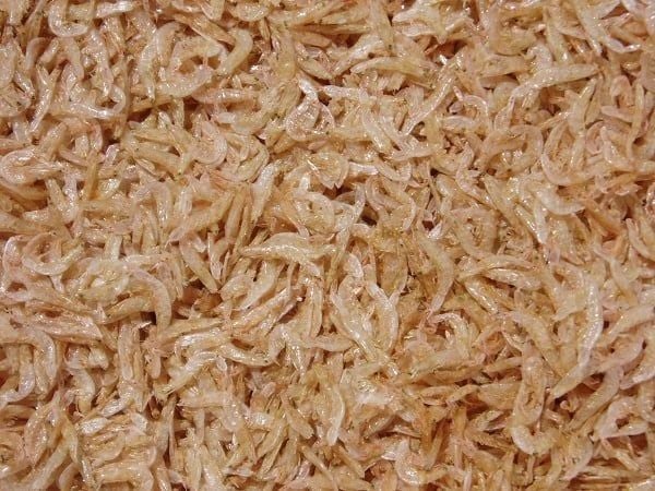  Dried Shrimp Floss 