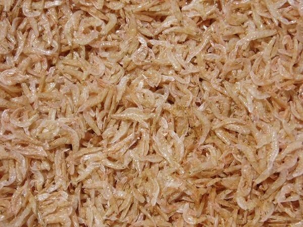  Dried Shrimp Floss 
