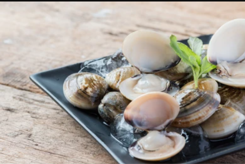  Boiled Clam (Meretrix lyrata) 