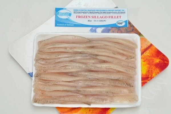  Fish of all kinds 