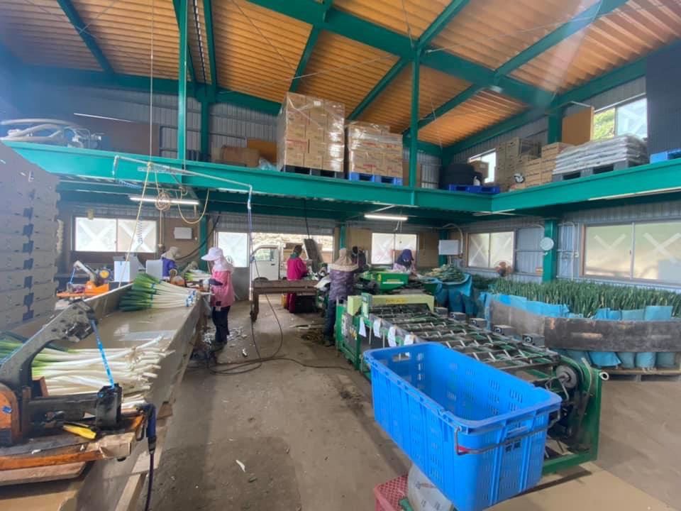  Thực tập sinh tiến cử 