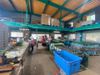 Thực tập sinh tiến cử