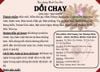 DỒI CHAY THỰC DƯỠNG