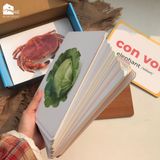  Bộ thẻ học thông minh Flashcard cho bé chuẩn Glenn Doman giáo giục sớm Lalala baby song ngữ Anh Việt 