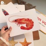  Bộ thẻ học thông minh Flashcard cho bé chuẩn Glenn Doman giáo giục sớm Lalala baby song ngữ Anh Việt 