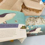  Sách song ngữ cho bé 3-8 tuổi - Trên và Dưới 