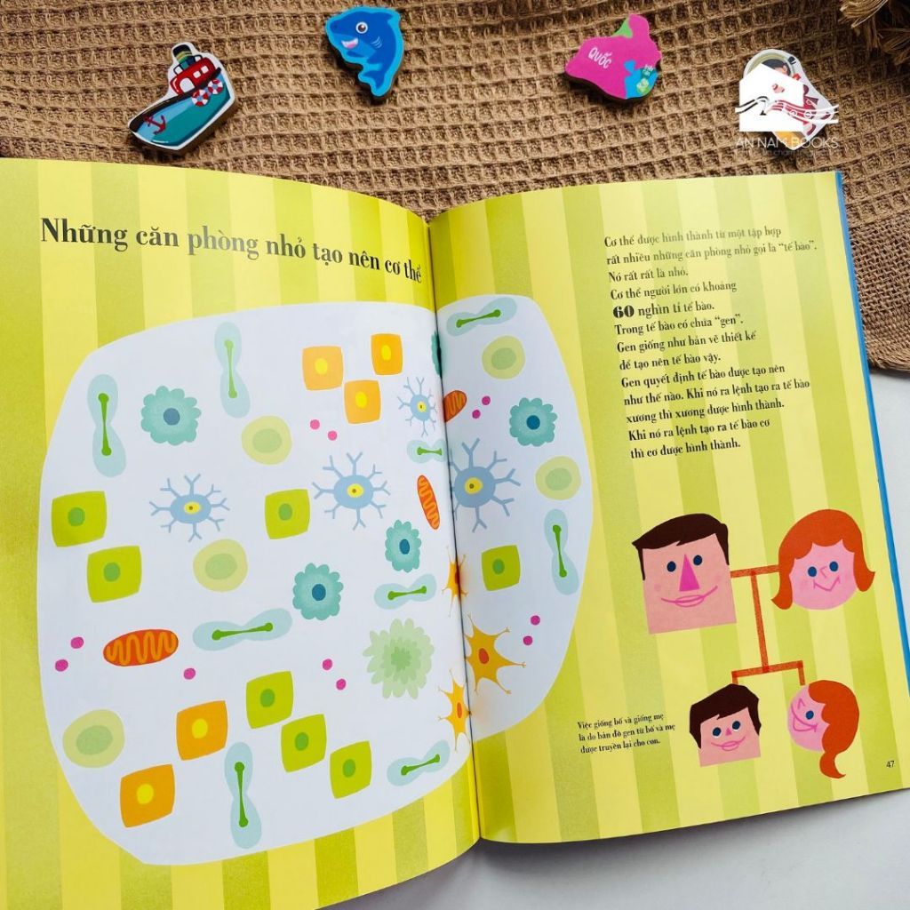  Sách cho bé 3-6 tuổi - Cuốn sách tranh đầu tiên về Cơ thể 