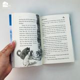  Sách - Chuyện Con Mèo Dạy Hải Âu Bay (Tái bản) 
