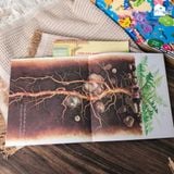  Sách cho bé 3-8 tuổi - Bồ Công Anh 