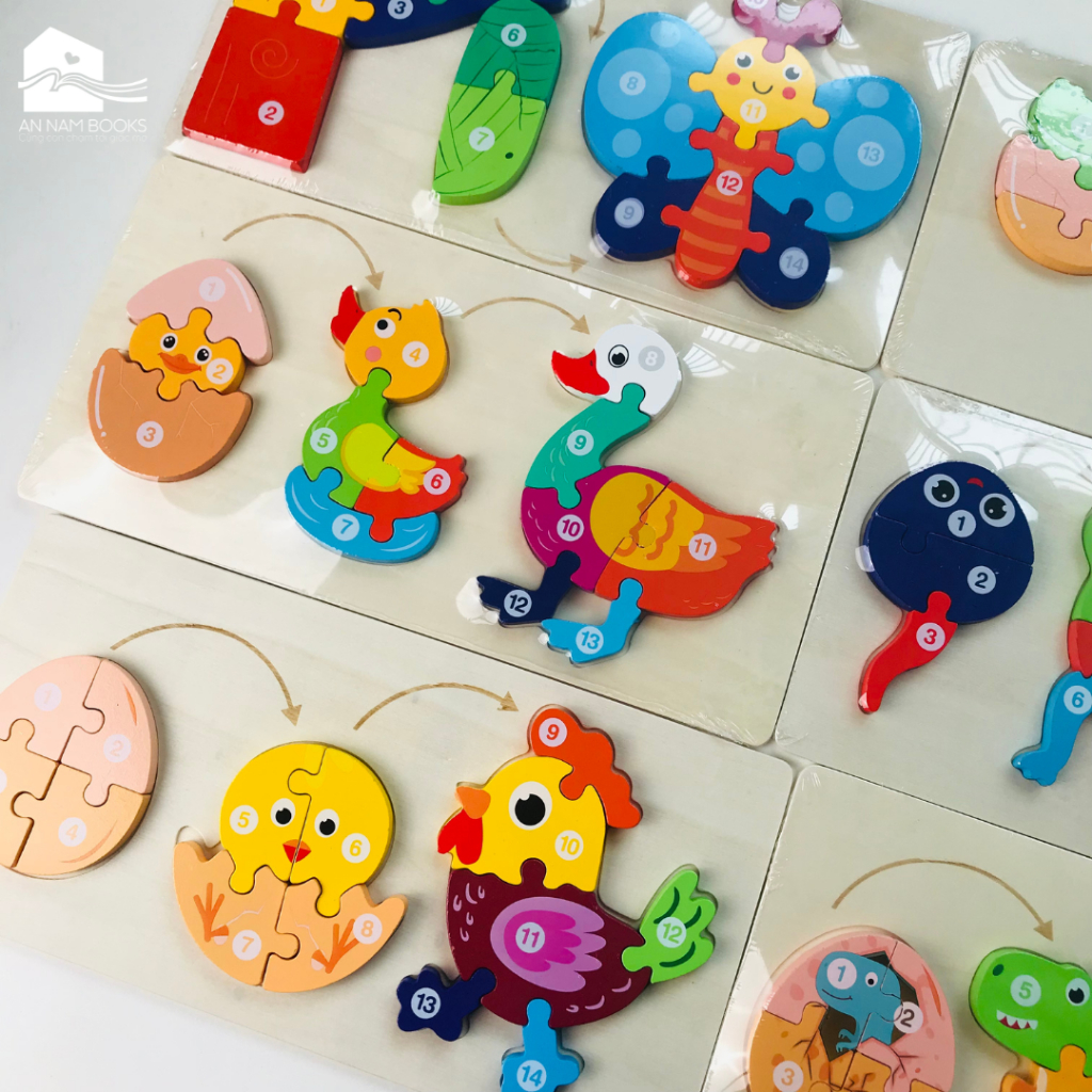 Rompecabezas Evolución de la Rana 3D - Juego Didáctico - Rompecabezas Evolucion Rana 3d Juego Did