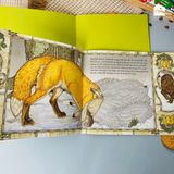  Sách cho bé 3-8 tuổi - Chiếc Bao Tay 