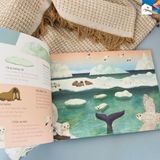  Sách song ngữ cho bé 3-8 tuổi - Trên và Dưới 