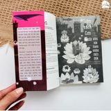  Sách - Tiệm sách cơn mưa - Bông hoa mang vương miện mưa 