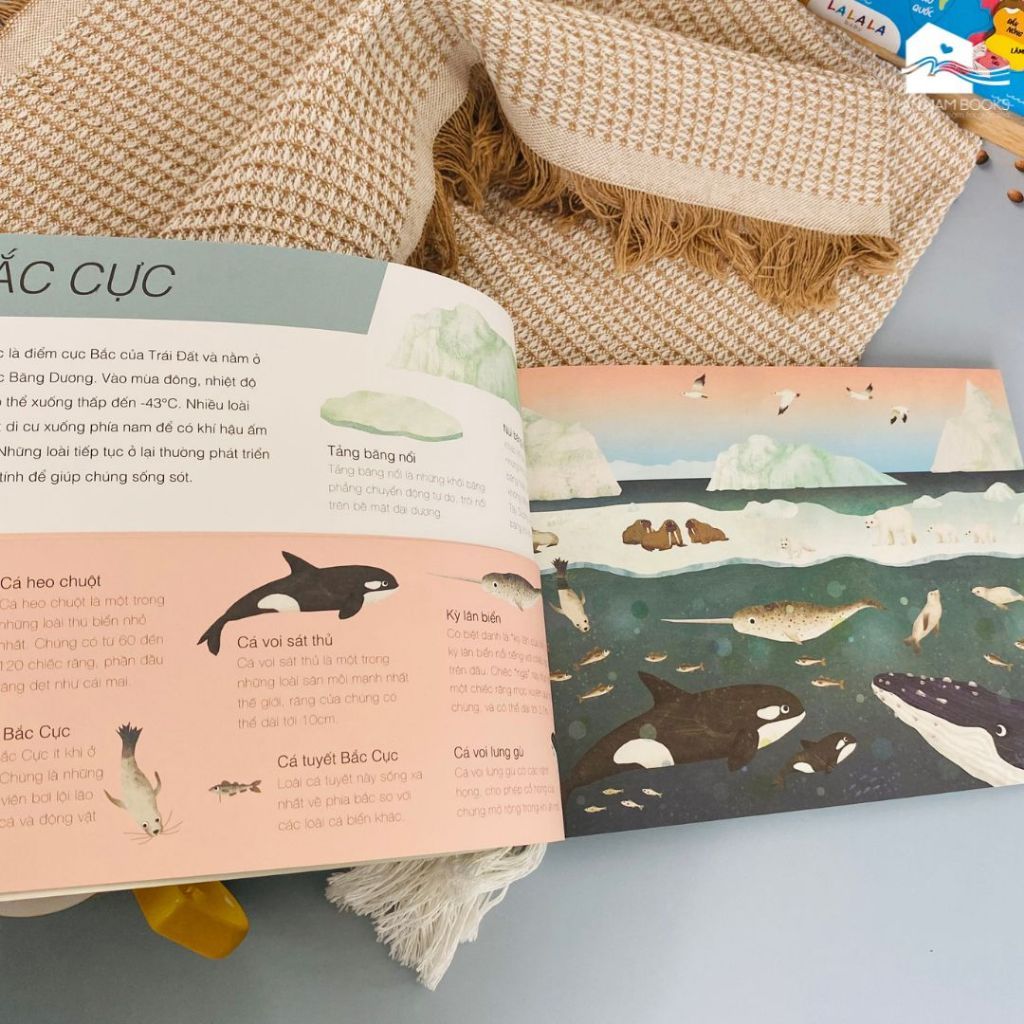  Sách song ngữ cho bé 3-8 tuổi - Trên và Dưới 