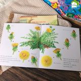  Sách cho bé 3-8 tuổi - Bồ Công Anh 