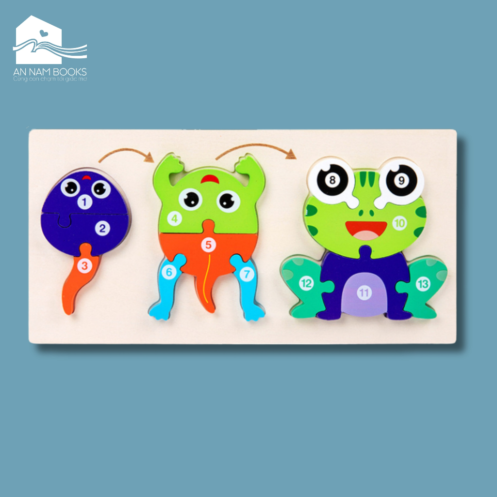 Rompecabezas Evolución de la Rana 3D - Juego Didáctico - Rompecabezas Evolucion Rana 3d Juego Did